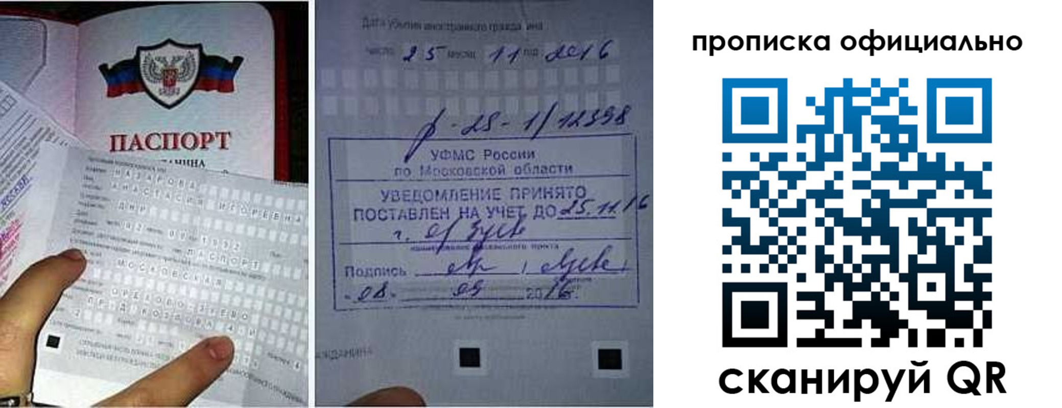 прописка паспорт в Стародубе