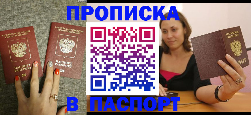 прописка паспорт в Стародубе